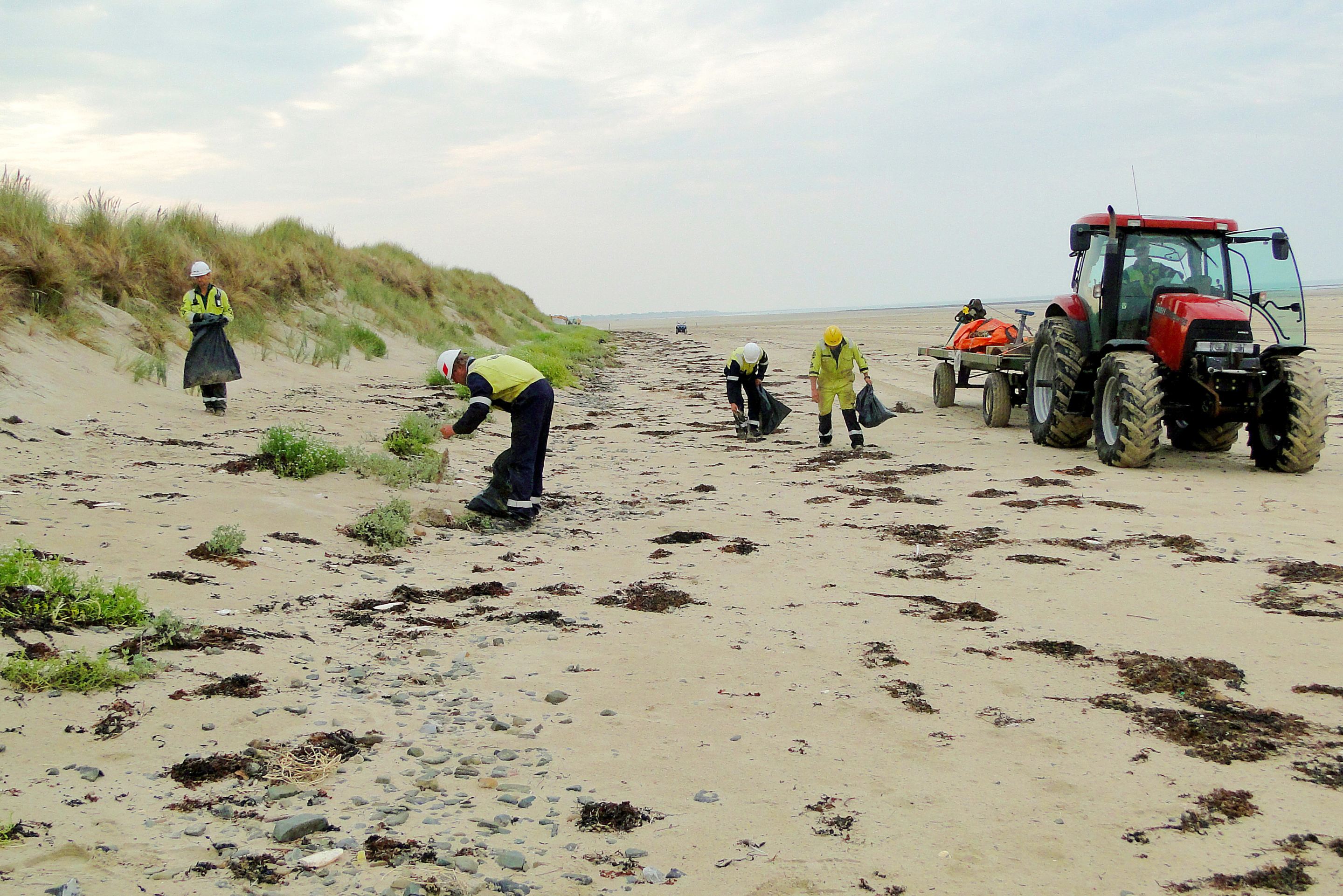 Spontaneous beach cleanup by VBMS colleagues in Normandy, France